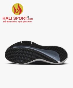 Giày Nike Air Winflo 9 DD6203-008 de giay Hali Sport