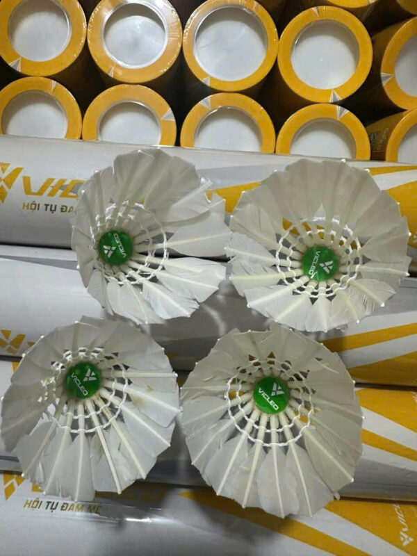 Ống cầu lông Vicleo A7 chính hãng - cho người mới bắt đầu HaLiSport