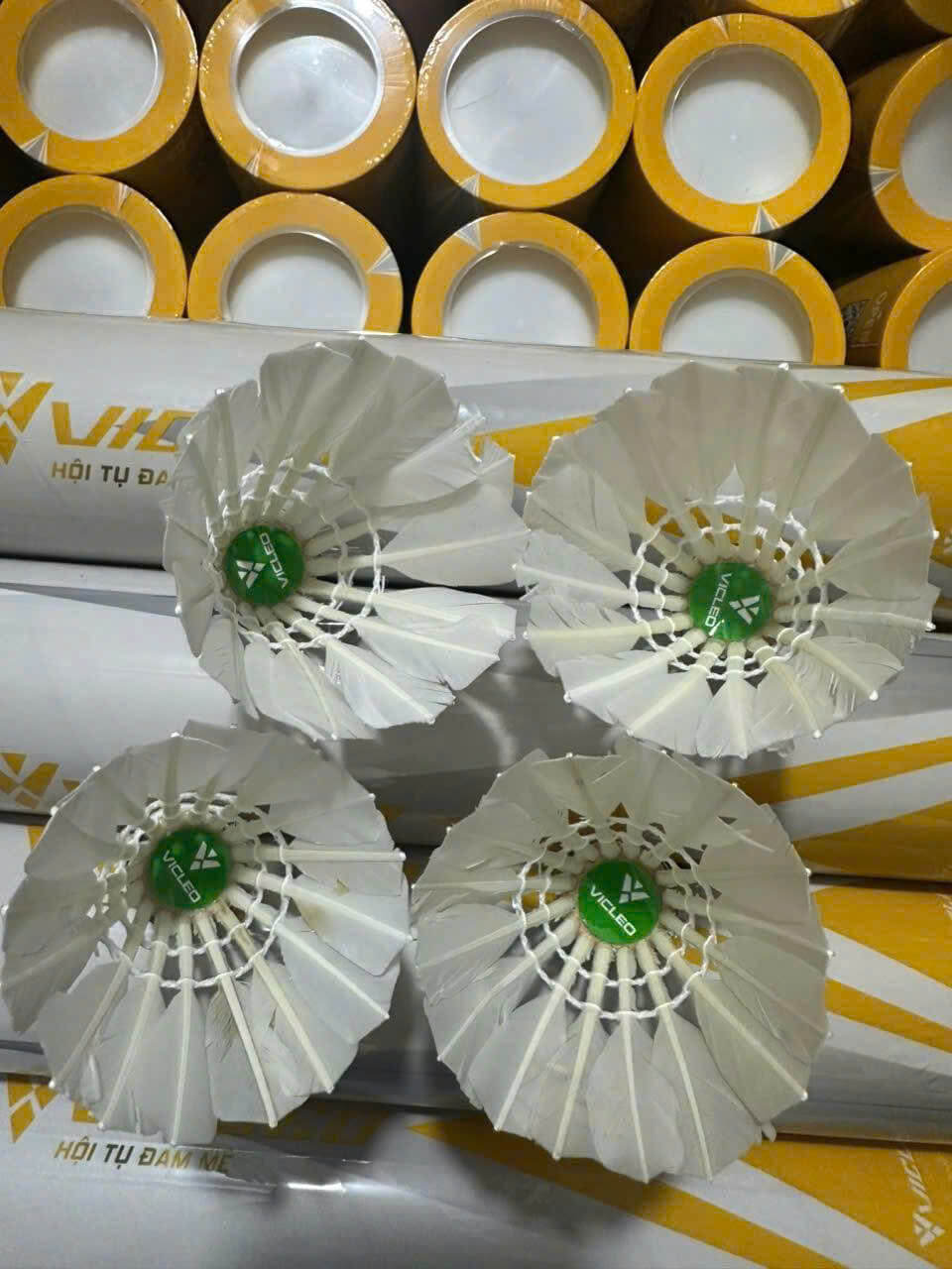 Ống cầu lông Vicleo A7 chính hãng - cho người mới bắt đầu HaLiSport Ống cầu lông Vicleo A7 chính hãng - cho người mới bắt đầu HaLiSport